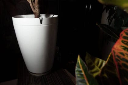 gadżety sprawdzające się przy hodowli roślin