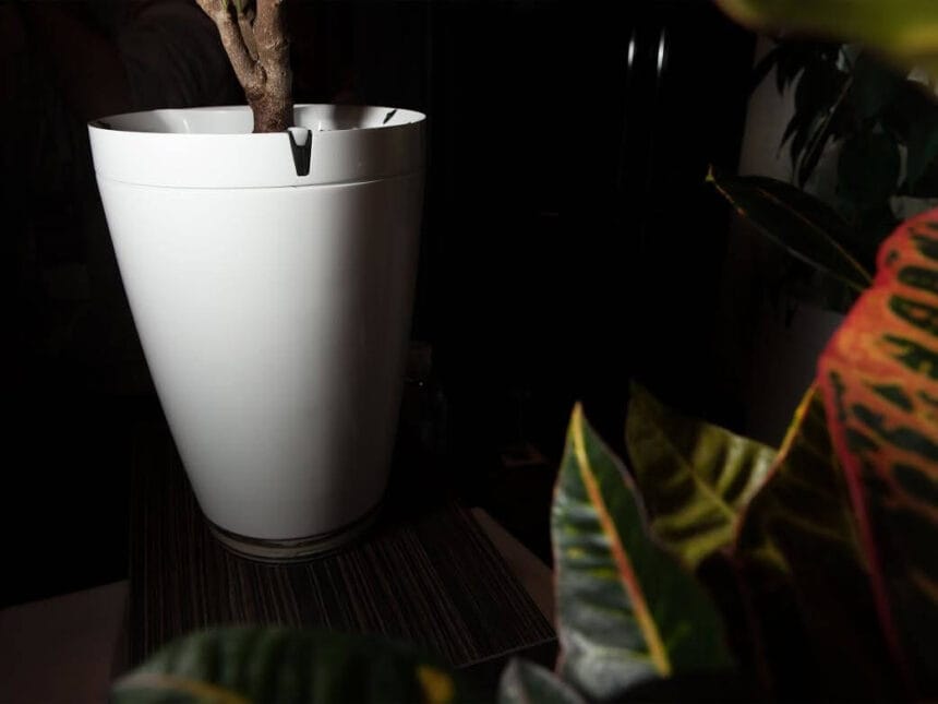 gadżety sprawdzające się przy hodowli roślin